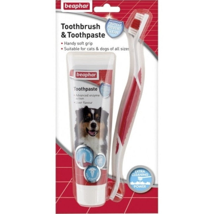 Toothbrush & Toothpaste - Combipack