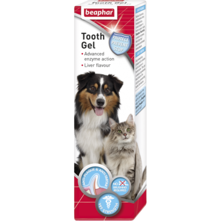 Tooth Gel 100G