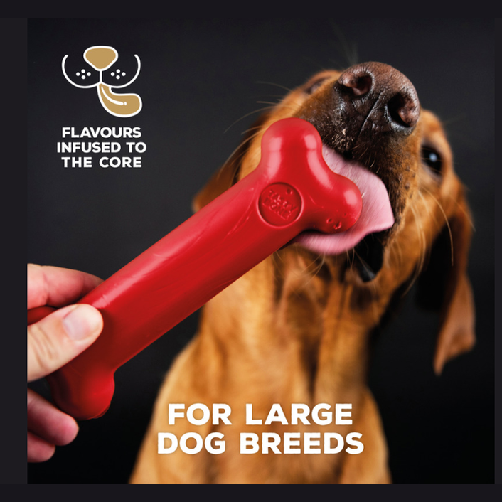 Tastybone Nylon Large Dog - Beef