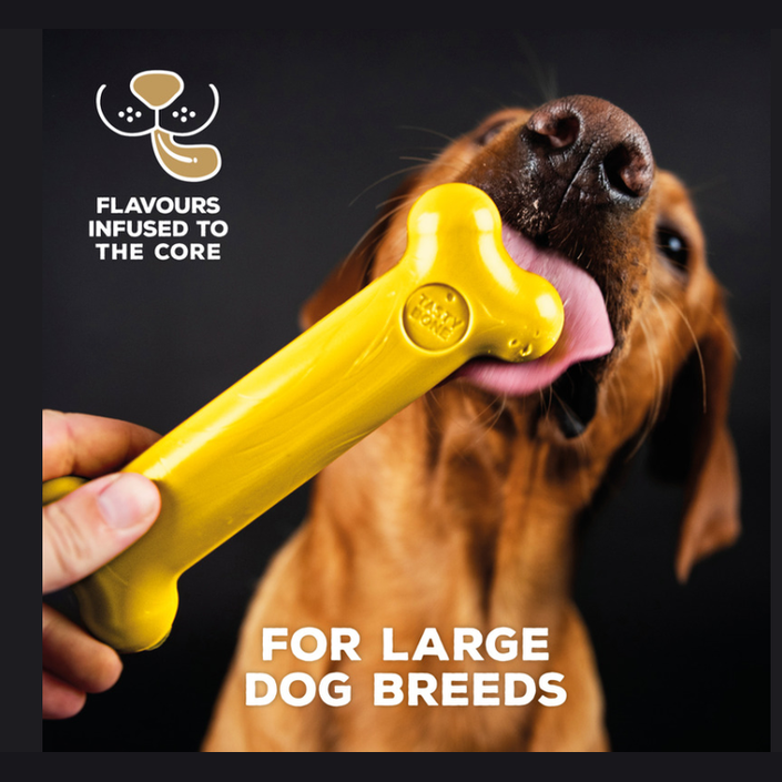 Tastybone Nylon Large Dog - Chicken