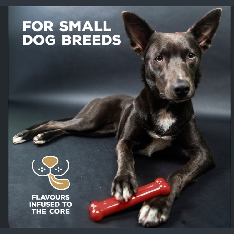 Tastybone Nylon Small Dog - Beef