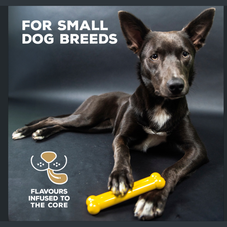 Tastybone Nylon Small Dog - Chicken