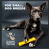 Tastybone Nylon Small Dog - Chicken