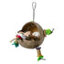 Coco Frog Foraging Toy