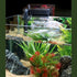 Fluval C2 Power Filter