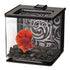 Marina Betta Kit 2.5L - Black