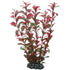 Artificial Plant - Ludwigia 25 Cm