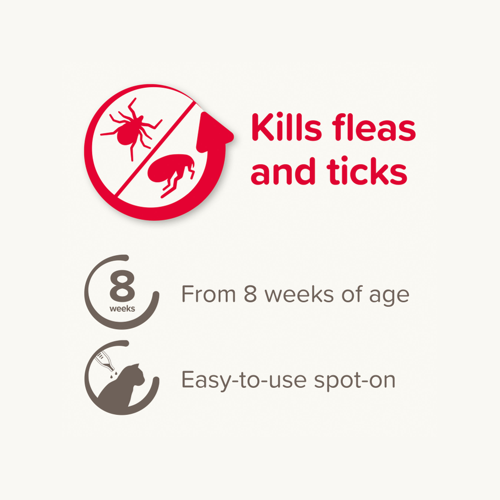 Fiprotec For Cat - 4 Pipettes