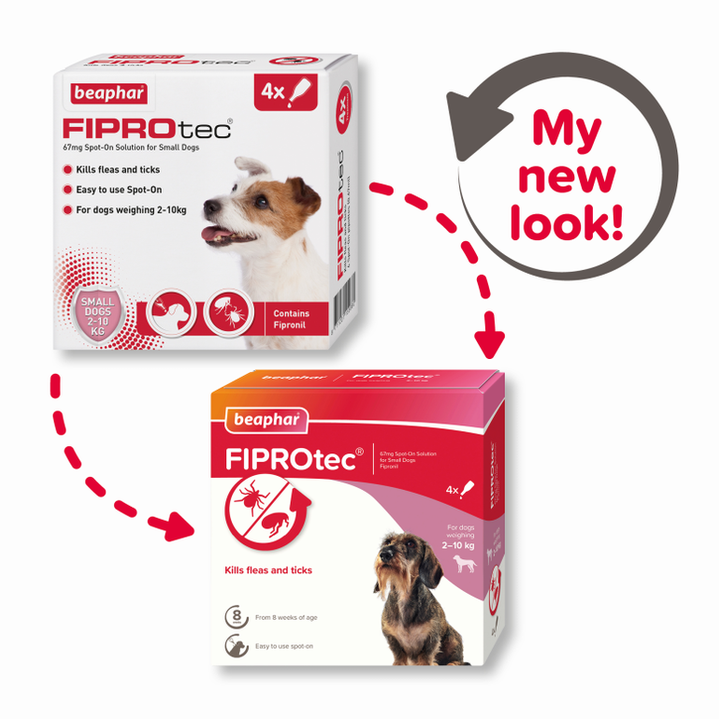 Fiprotec For Small Dog - 4 Pipettes