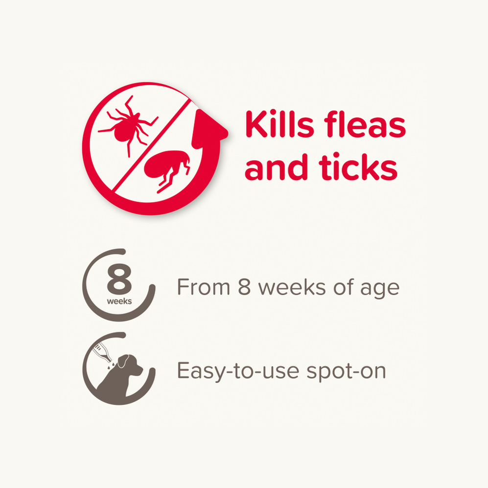 Fiprotec For Medium Dog - 4 Pipettes