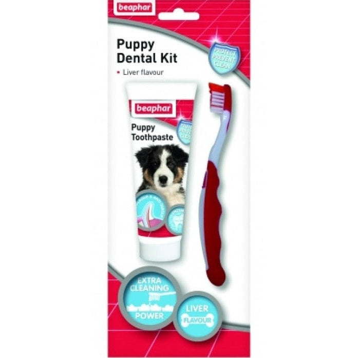 Puppy Dental Kit - 50G