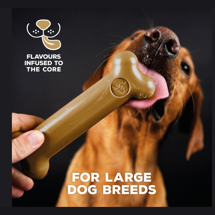 Tastybone Nylon Large Dog - Lamb