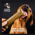 Tastybone Nylon Large Dog - Lamb