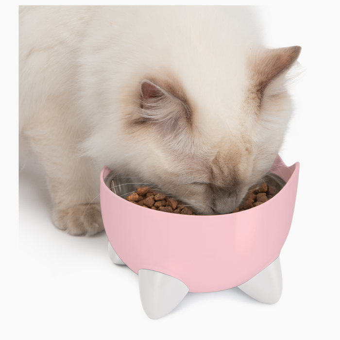Catit Pixi Drinking Fountain - Combo Pack/Pink
