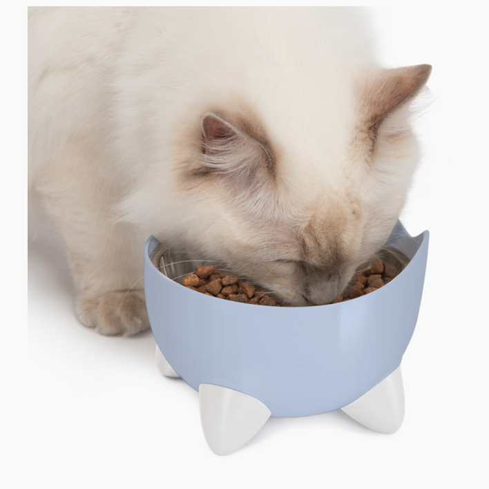 Catit Pixi Drinking Fountain - Combo Pack/Blue