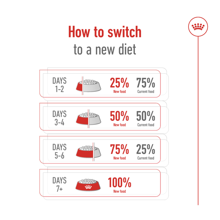 Size Health Nutrition Medium Adult 4 Kg