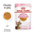 Feline Health Nutrition Kitten Sterilised Jelly (Wet Food - Pouches) 12 x 85 g