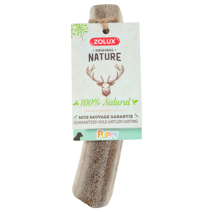 Natural Deer Antler For Puppy