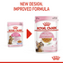 Feline Health Nutrition Kitten Sterilised Jelly (Wet Food - Pouches) 12 x 85 g