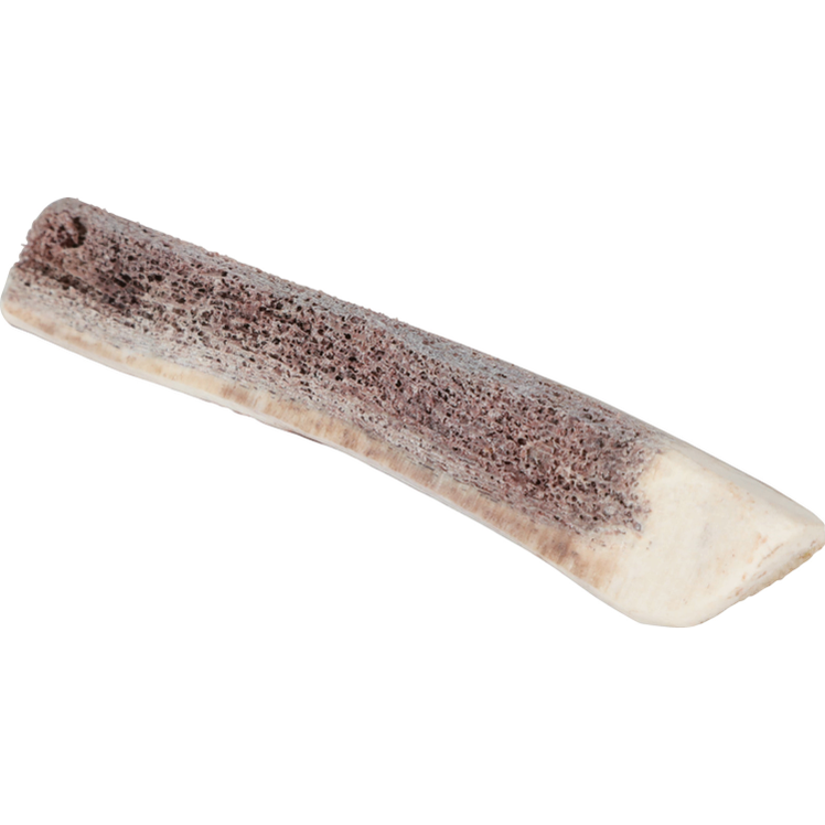 Natural Deer Antler For Puppy