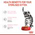 Feline Health Nutrition Kitten Sterilised Jelly (Wet Food - Pouches) 12 x 85 g