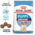 Size Health Nutrition Medium Puppy 1 Kg
