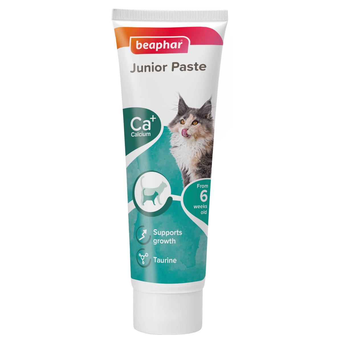 Junior Paste for Cats 100 g