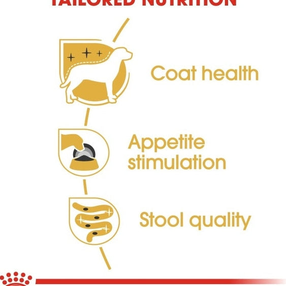 Breed Health Nutrition Yorkshire Adult (Wet Food - Pouches) 12 X 85G