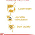 Breed Health Nutrition Yorkshire Adult (Wet Food - Pouches) 12 X 85G