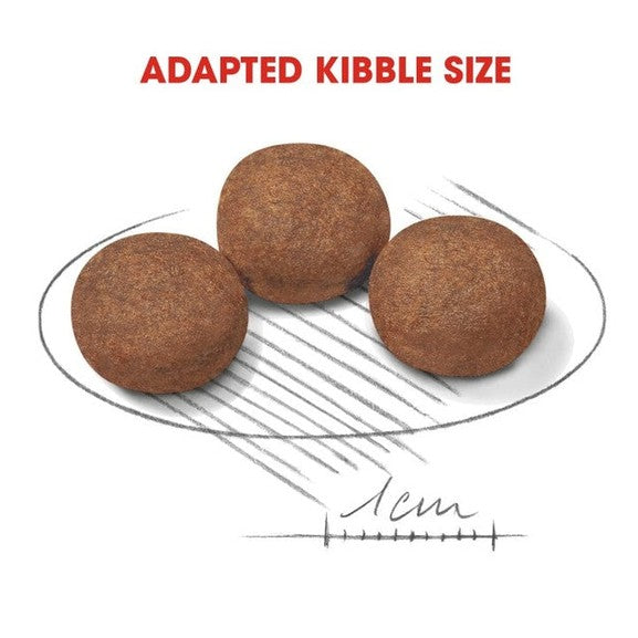 Size Health Nutrition Medium Puppy 1 Kg