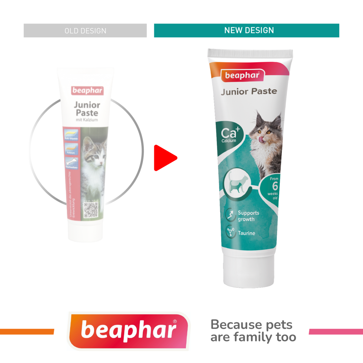 Junior Paste for Cats 100 g