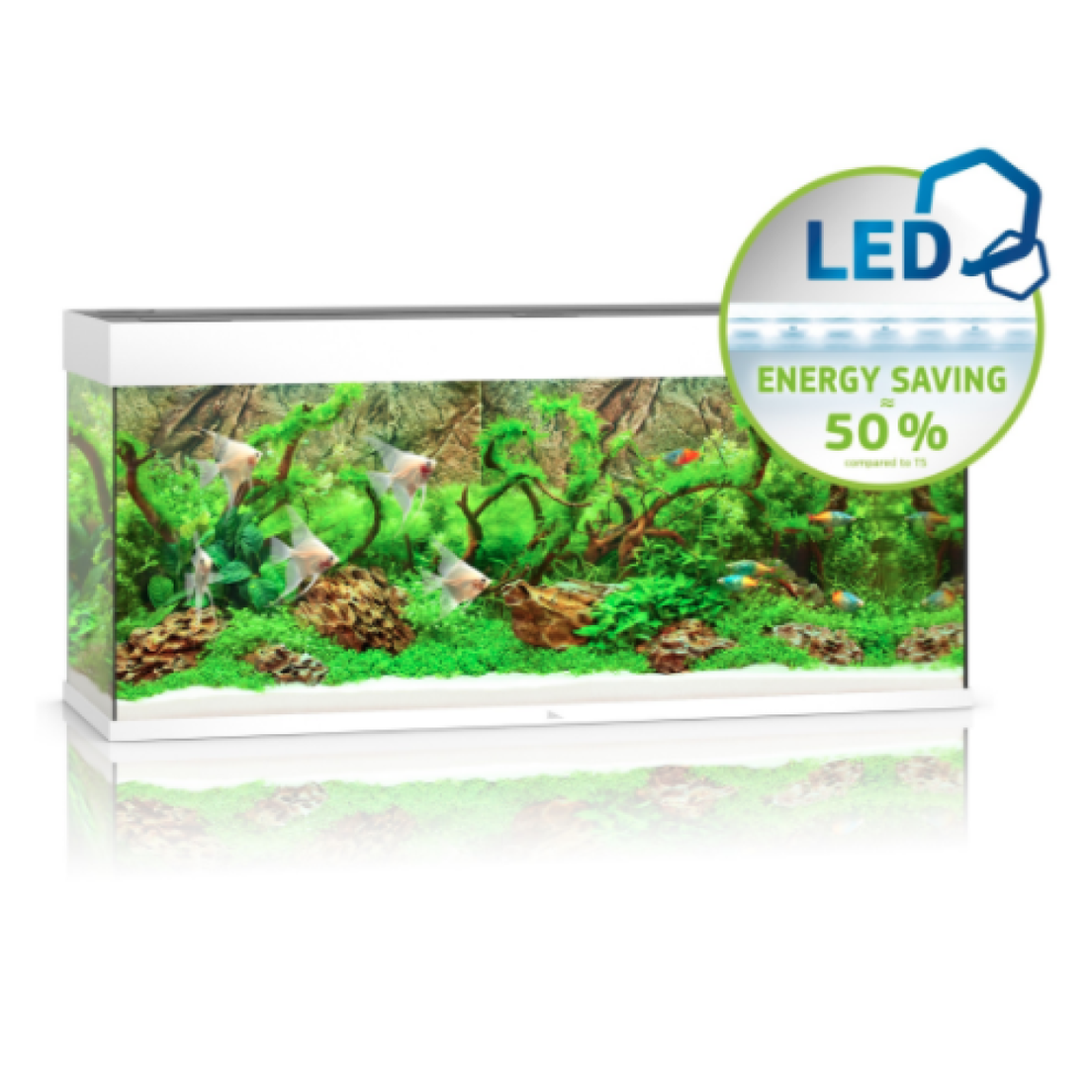Rio 240 LED White