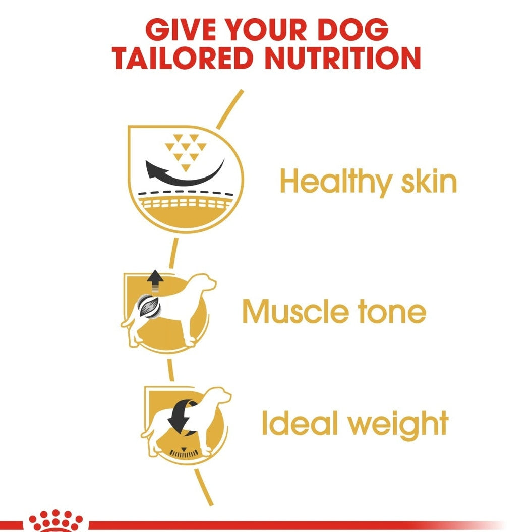 Breed Health Nutrition Pug Adult 1.5 Kg