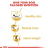 Breed Health Nutrition Pug Adult 1.5 Kg