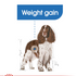 Canine Care Nutrition Medium Light Weight Care 12 Kg