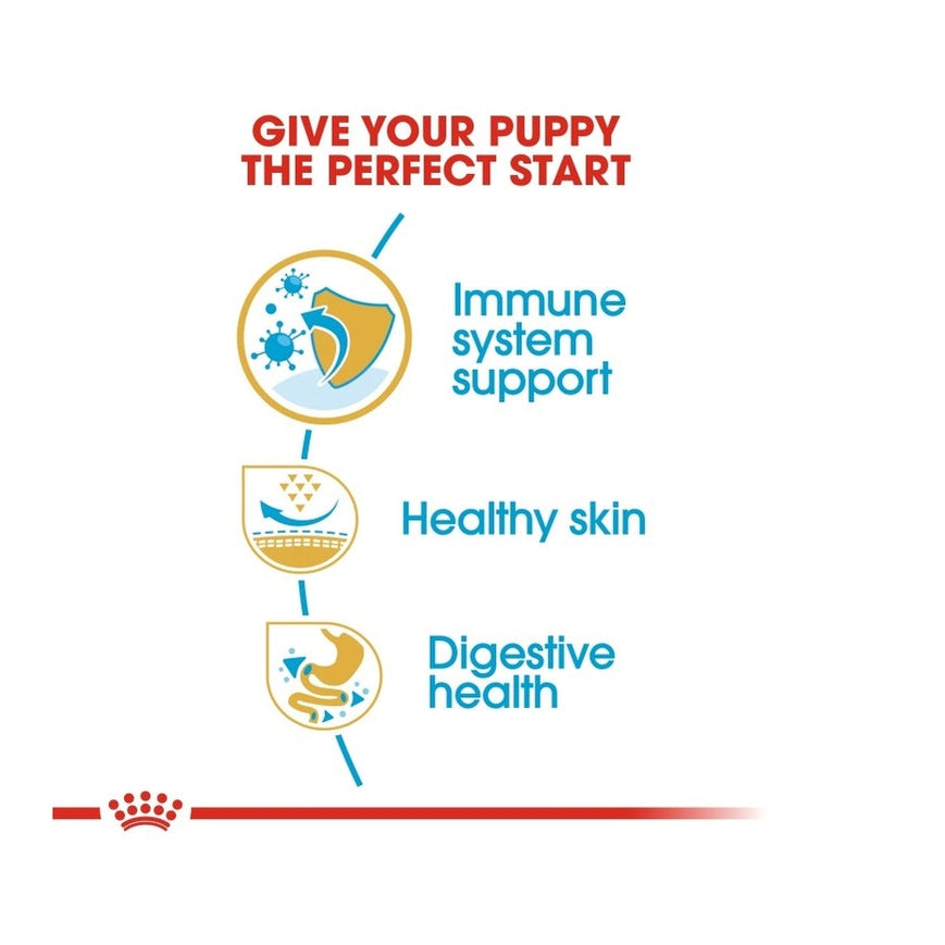 Breed Health Nutrition Pug Puppy 1.5 Kg
