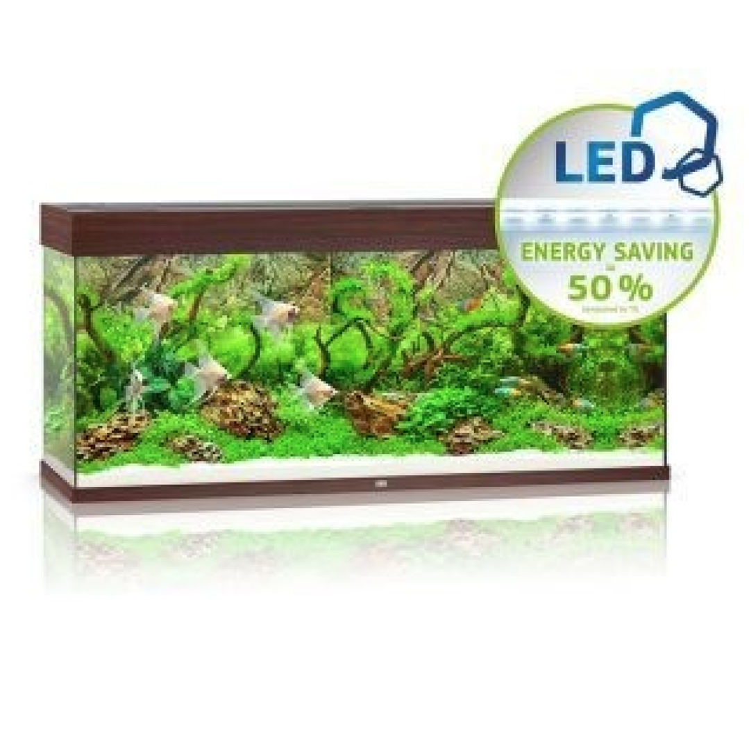 Rio 240 LED Dark Wood