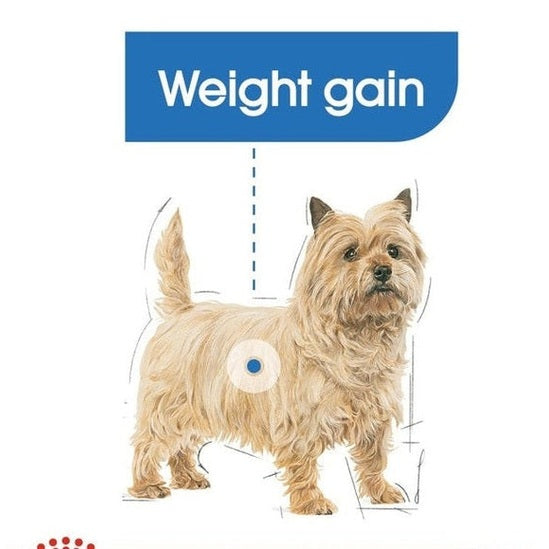 Canine Care Nutrition Mini Light Weight Care 3 Kg