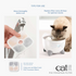 Catit Pixi Fountain Filter Cartridge 3/pk