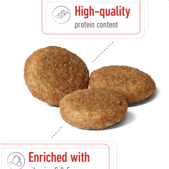 Size Health Nutrition Medium Adult 4 Kg