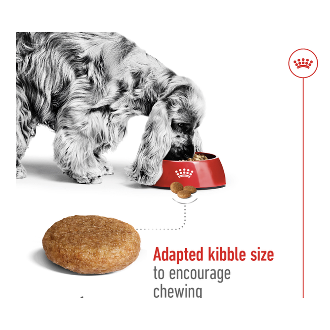 Size Health Nutrition Medium Adult 4 Kg