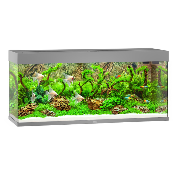 Rio 240 LED Grey