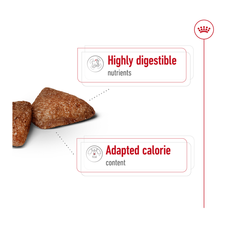 Size Health Nutrition Mini Indoor Adult 1.5 Kg