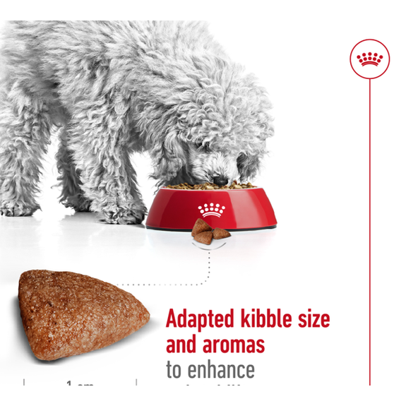Size Health Nutrition Mini Indoor Adult 1.5 Kg