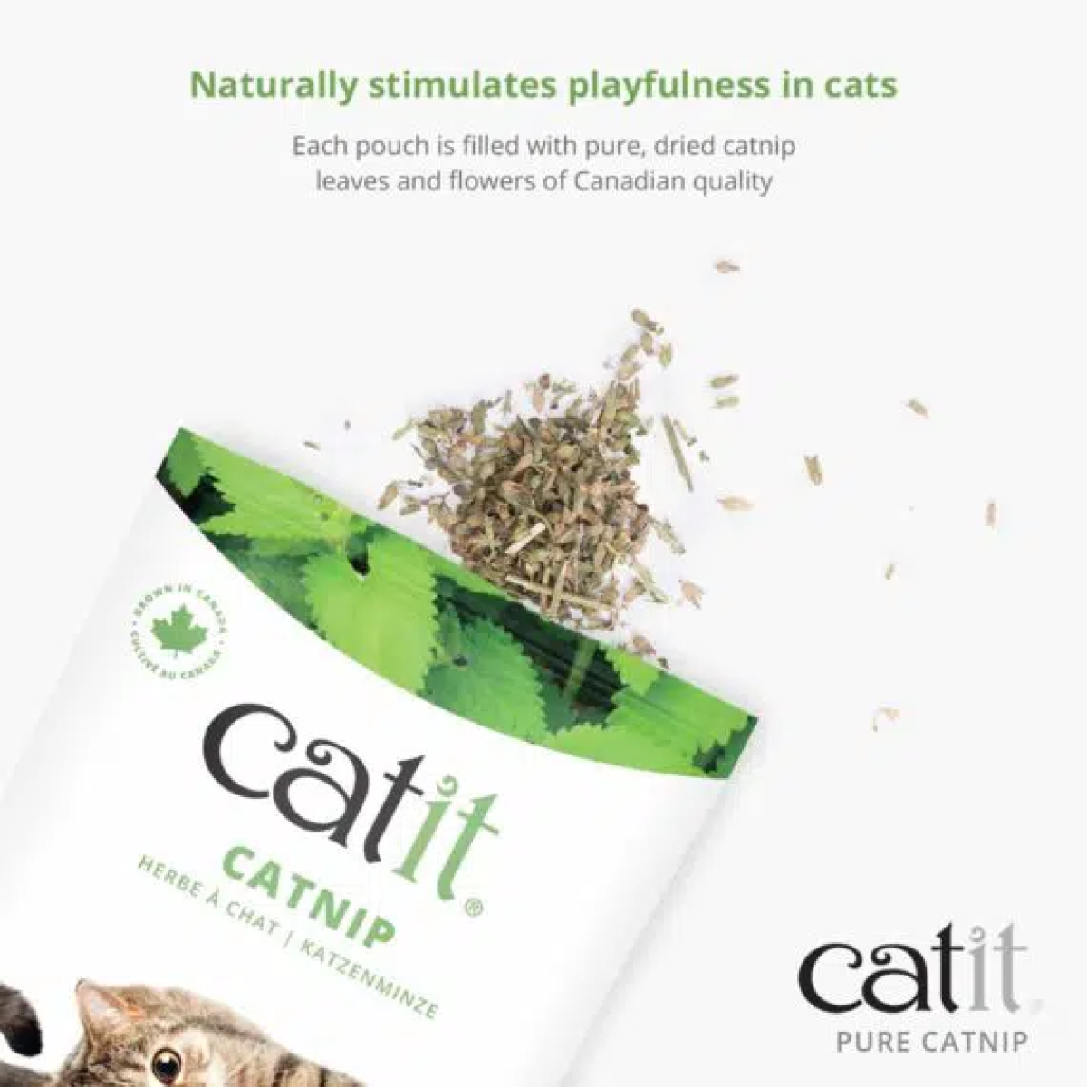 Catit Dried Catnip 14 g