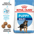 Size Health Nutrition Maxi Puppy 1 kg