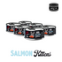 Wet Food for Kittens Salmon, 6x100 g cans