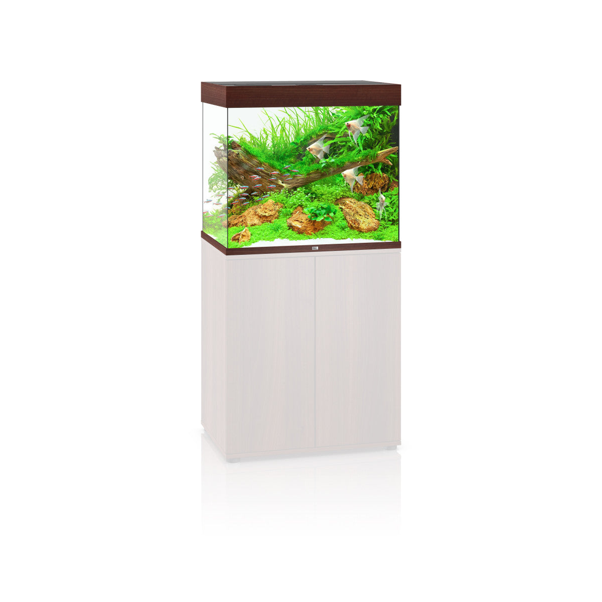 Lido 200 LED Dark Wood