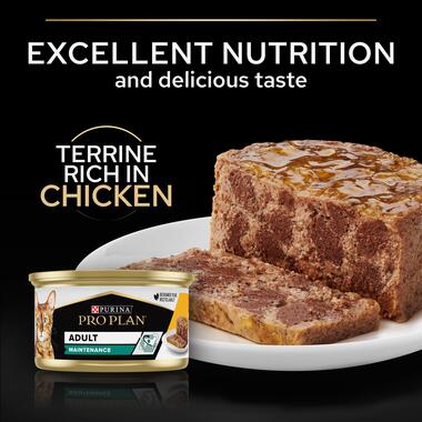 Pro Plan Maintenance Adult Wet Cat Food, Terrine with Chicken 85gN5 XE