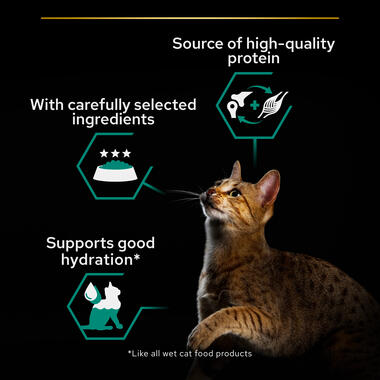Pro Plan Maintenance Adult Wet Cat Food, Terrine with Chicken 85gN5 XE